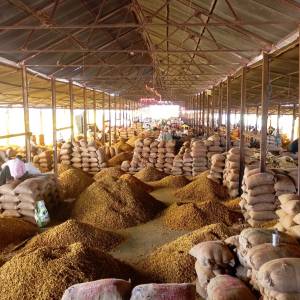 auction_platform_1_original